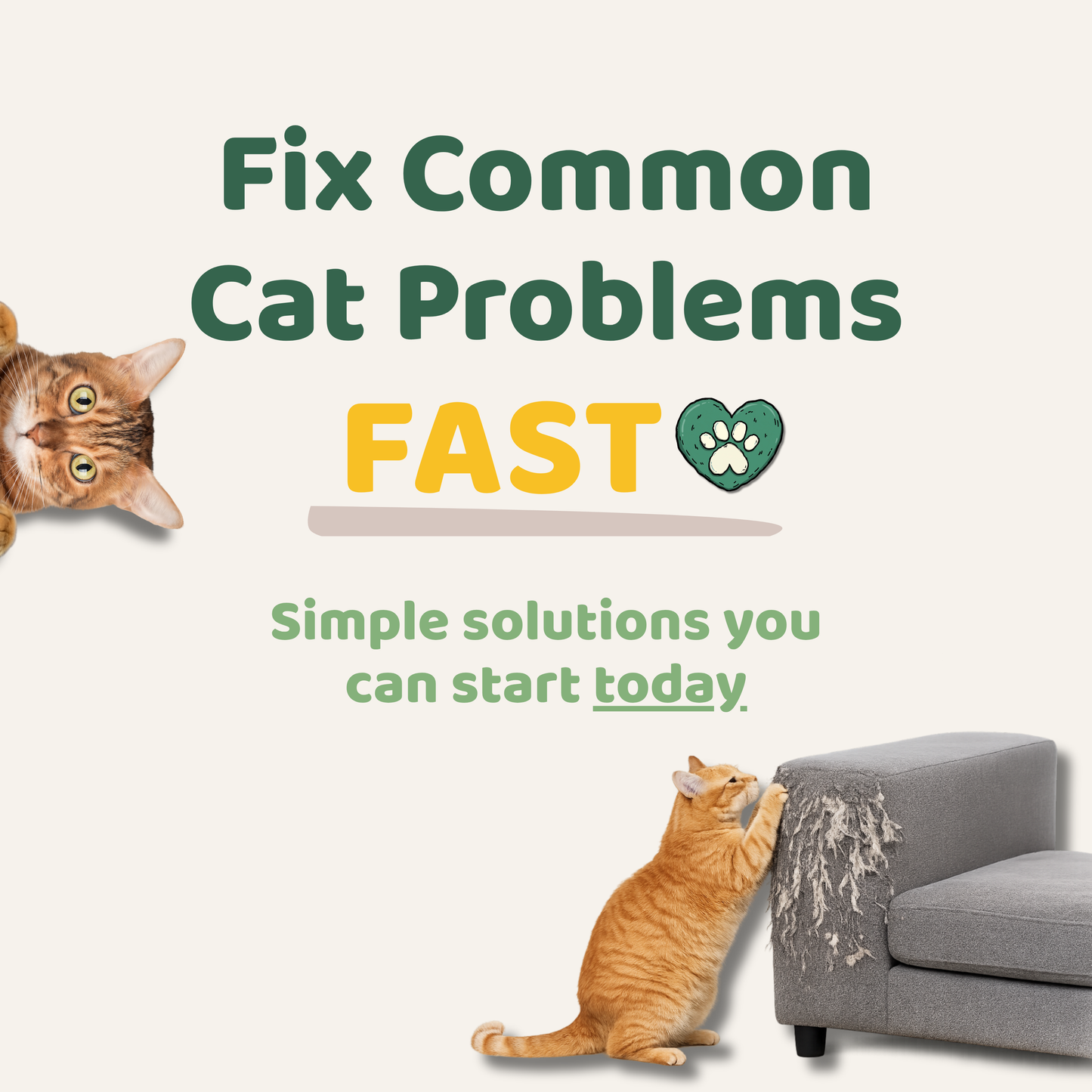 Help Your Cat Live Longer