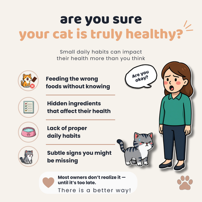 Help Your Cat Live Longer