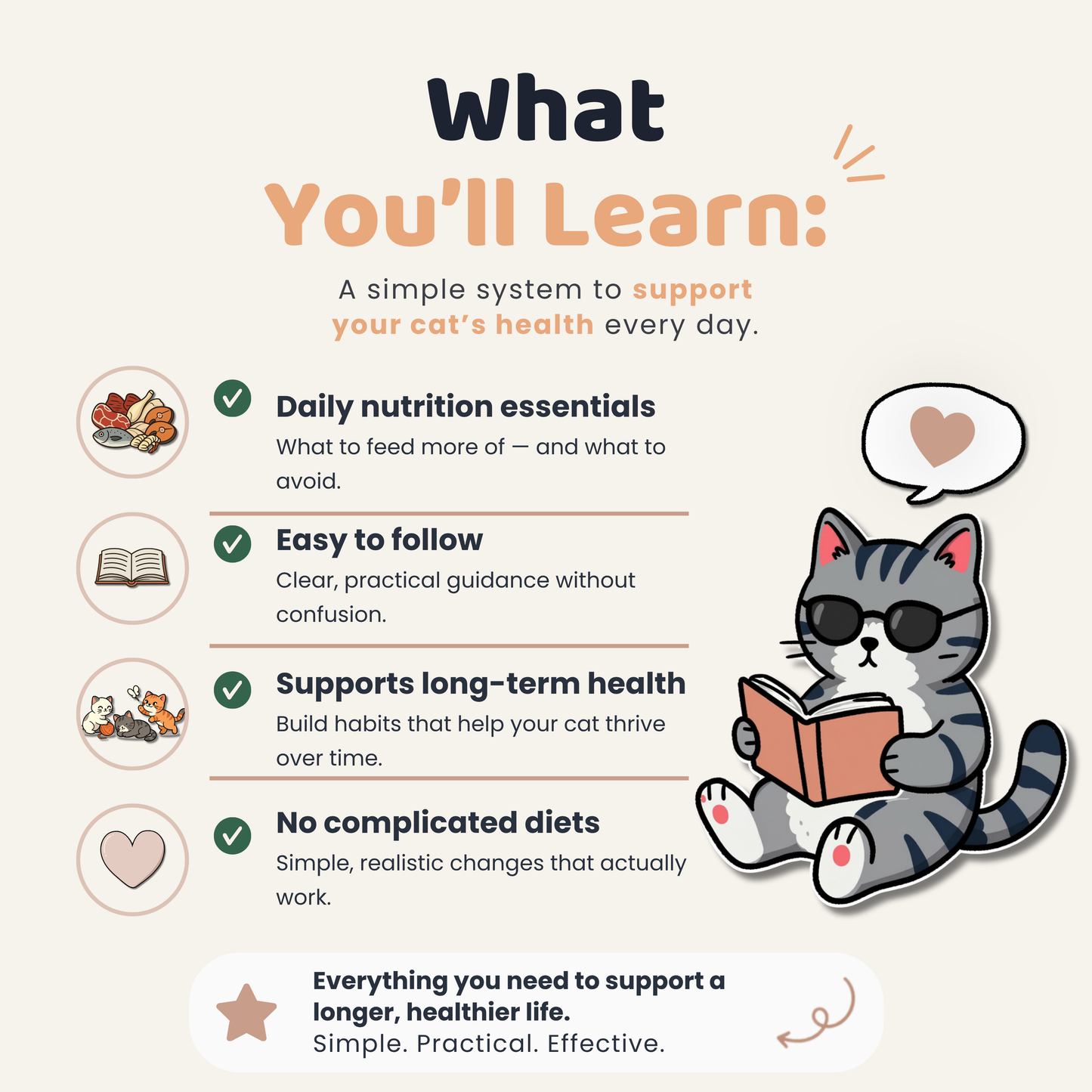 Help Your Cat Live Longer