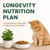 <strong>Essential</strong><br><em>Longevity Nutrition</em>