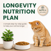 <strong>Complete</strong><br><em>Full System</em><br>+ Training Guide<br>🎁 Free Quick Fix