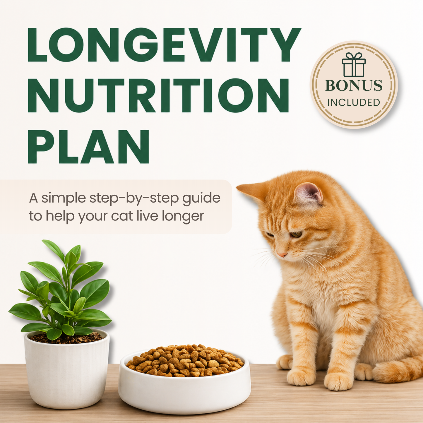 Help Your Cat Live Longer